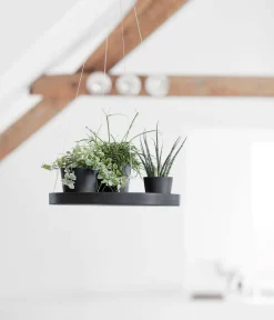 Ecopots Kunststoff-Untersetzer hängend, rund, ca. Ø36/H3 cm Dunkelgrau Discount