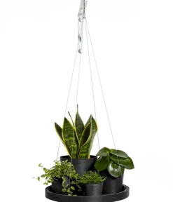 Ecopots Kunststoff-Untersetzer hängend, rund, ca. Ø36/H3 cm Dunkelgrau Discount