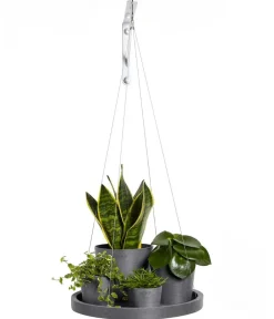 Ecopots Blumentopf Untersetzer|Blumenampeln & -Schalen - Kunststoff-Untersetzer hängend, rund, ca. Ø36/H3 cm Grau