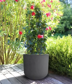 EDA Kunststoff-Topf Basalt Up, rund Anthrazit Hot