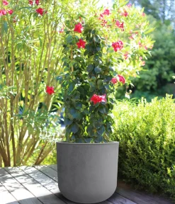 EDA Pflanzkübel & Blumenkästen - Kunststoff-Topf Basalt Up, rund Grau