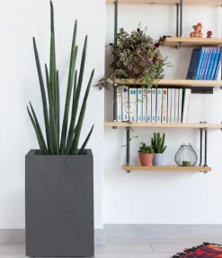 EDA Kunststoff-Topf Basalt Up, quadratisch, ca. B30/H50/T30 cm Anthrazit New