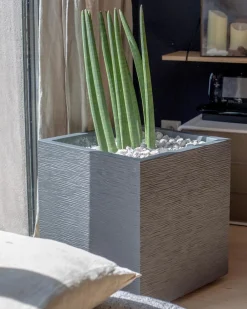 EDA Pflanzkübel & Blumenkästen|Blumentöpfe & Übertöpfe > Kunststoff-Topf Graphit, gerillt