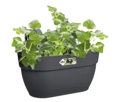 Elho Pflanzkübel & Blumenkästen|Blumenampeln & -Schalen > Kunststoff-Balkonhängetopf Vibia Campana Easy, länglich