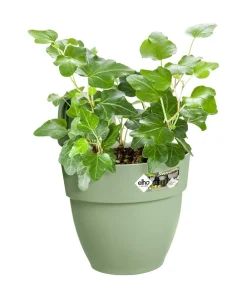 Elho Blumenampeln & -Schalen - Kunststoff-Balkonhängetopf Vibia Campana Easy, rund Grün