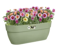 Elho Pflanzkübel & Blumenkästen|Blumenampeln & -Schalen - Kunststoff-Balkonhängetopf Vibia Campana Easy, länglich Hellgrün
