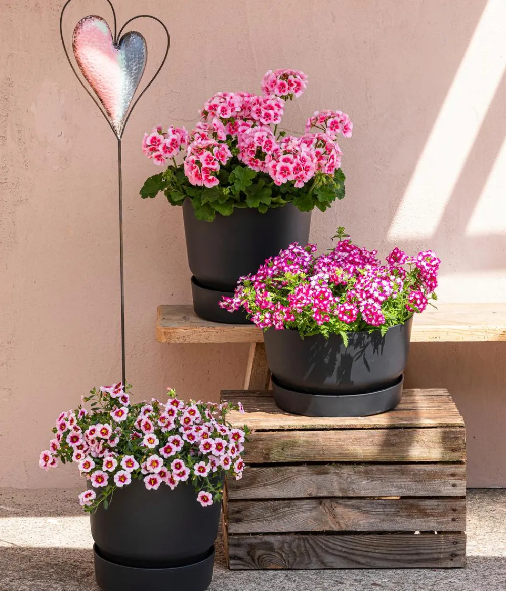 Elho Kunststoff-Topf Greenville, rund, ca. Ø19/H18 cm Schwarz Discount