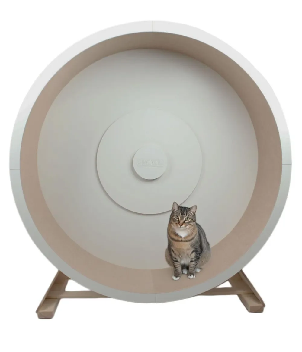 Elmato® Katzenspielzeug - Katzenlaufrad Rocky XXL, stehend, /