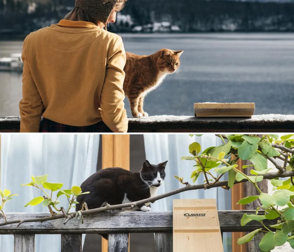 Elmato® Katzentreppe, 3 x 100 cm Natur Discount