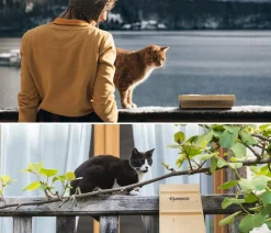 Elmato® Mehr Katzenzubehör - Katzentreppe, 2 x 100 cm Natur