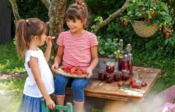 Dehner Erdbeer-Ernte Erdbeerpflanzen|Beeren-Sets > Erdbeer-Set Erdbeer-Sommer, 4 Sorten, 8er-Schale