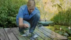 Esotec Gartenteich·Teichpumpen & Teichtechnik|Teichpumpen & Teichtechnik > Solarpumpe Seerose für den Gartenteich