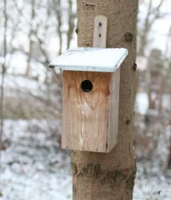 Esschert Design Nistkästen > Beobachtungsnistkasten