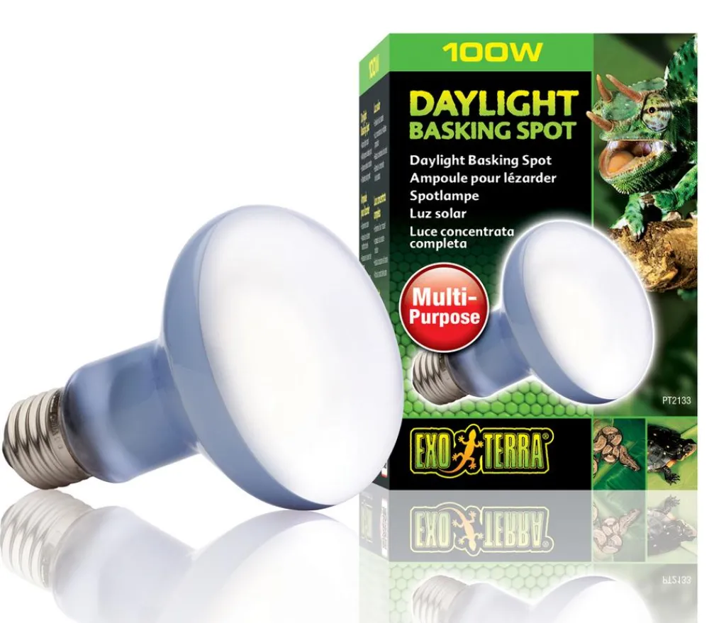 Exo Terra® Daylight Basking Spot Best