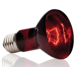 Exo Terra® Terrarientechnik > Infrared Basking Spot