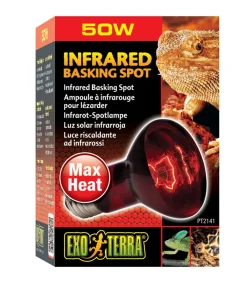 Exo Terra® Terrarientechnik > Infrared Basking Spot