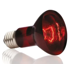 Exo Terra® Infrared Basking Spot New
