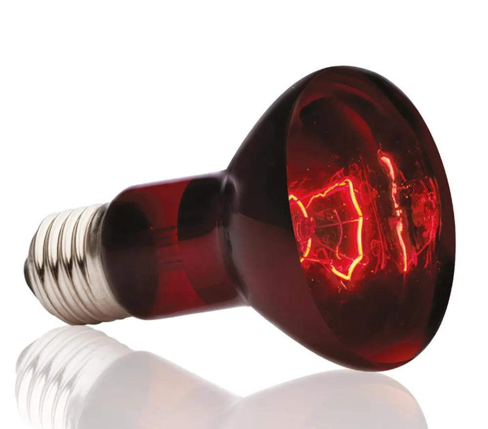 Exo Terra® Infrared Basking Spot New