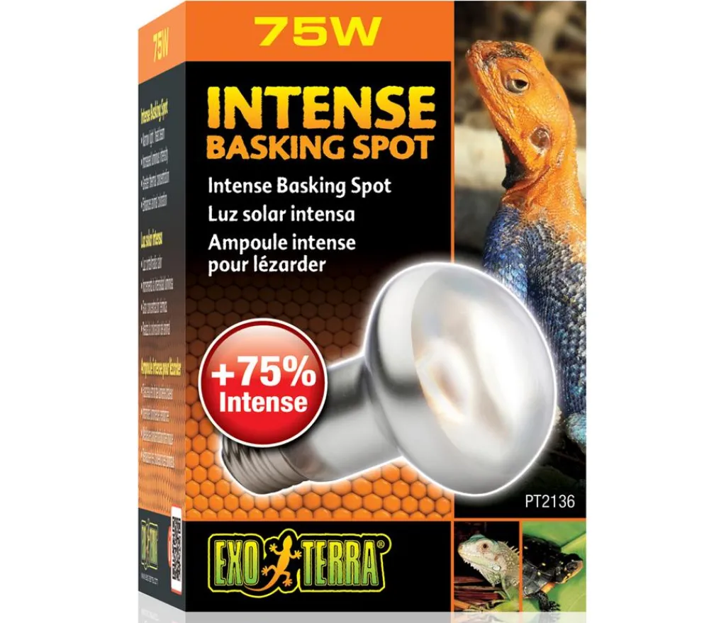 Exo Terra® Terrarientechnik > Intense Basking Spot