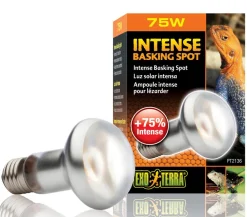 Exo Terra® Terrarientechnik > Intense Basking Spot