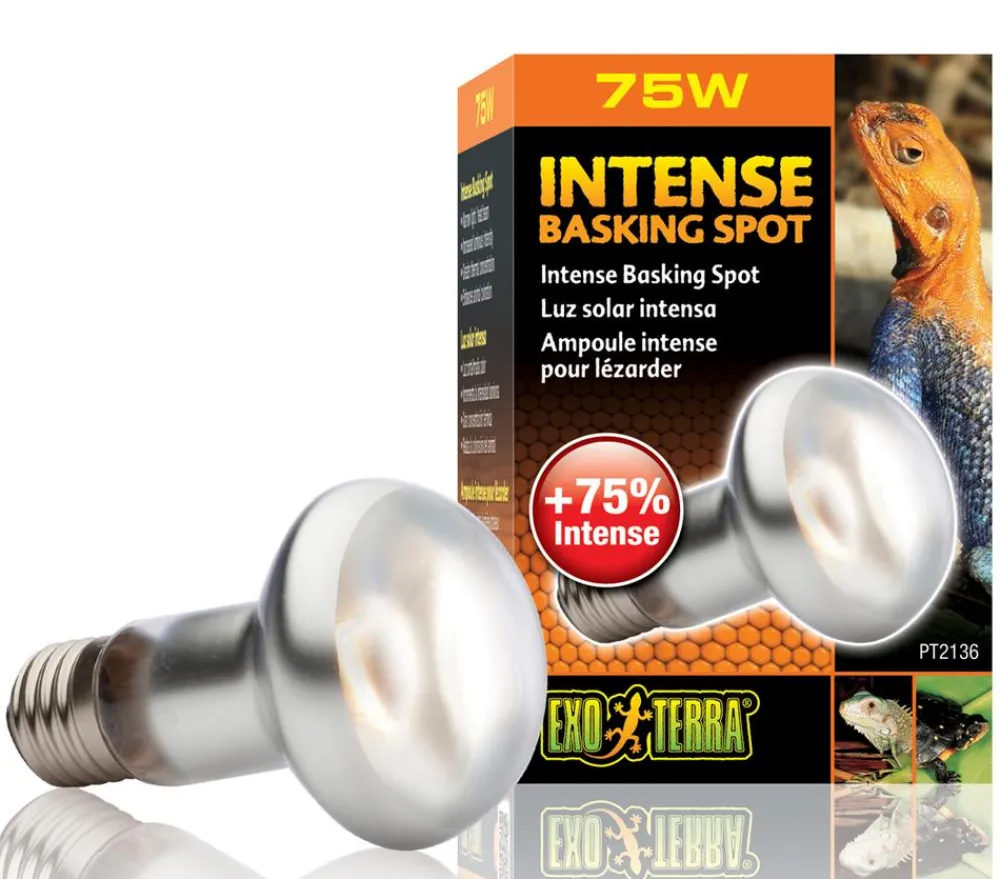 Exo Terra® Terrarientechnik > Intense Basking Spot
