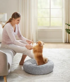Feandrea Hundebetten & Körbe|Katzenbetten & Katzenkissen > Kuschelbett, rund, grau, Ø60/H20 cm