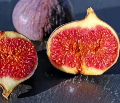 Dehner Nüsse & Besondere Obstbäume|Obstbäume - Feige, dunkel Lila