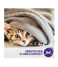 FELIWAY® Katzenpflege > Alltagshelfer Classic Start-Set