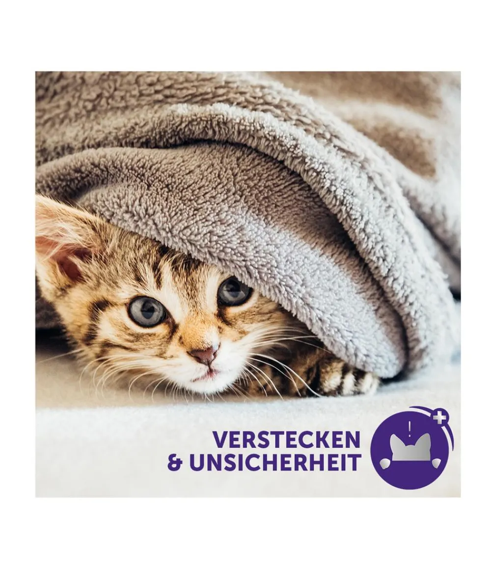 FELIWAY® Katzenpflege > Alltagshelfer Classic Start-Set