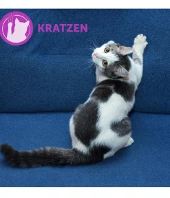FELIWAY® Katzenpflege > Alltagshelfer Classic Start-Set