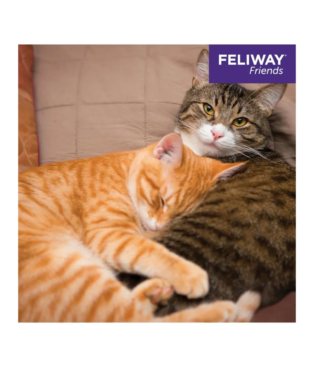 FELIWAY® Katzenpflege > Alltagshelfer Friends Nachfüllflakon