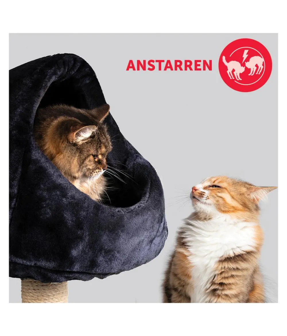 FELIWAY® Katzenpflege > Alltagshelfer Friends Nachfüllflakon