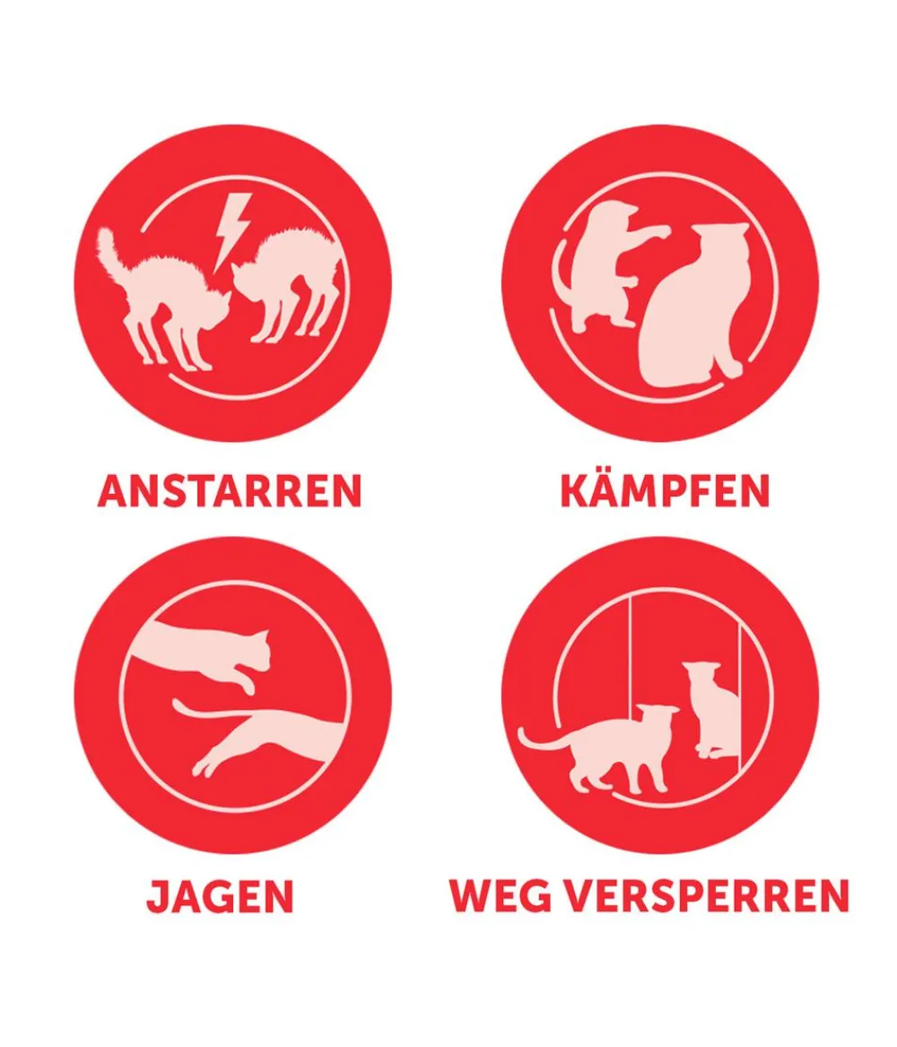 FELIWAY® Katzenpflege - Alltagshelfer Friends Start-Set