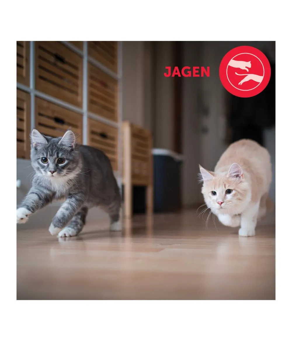 FELIWAY® Katzenpflege - Alltagshelfer Friends Start-Set