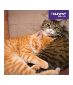 FELIWAY® Katzenpflege - Alltagshelfer Friends Start-Set