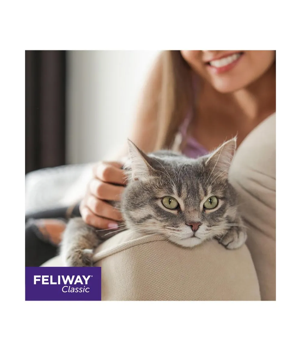 FELIWAY® Katzenpflege > Classic Nachfüllflakon, 3er-Set
