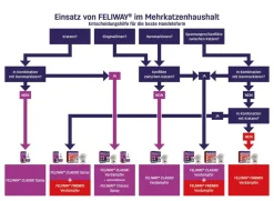 FELIWAY® Katzenpflege > Classic Nachfüllflakon, 3er-Set