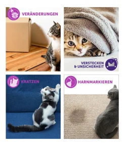 FELIWAY® Katzenpflege > Classic Nachfüllflakon, 3er-Set