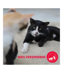 FELIWAY® Katzenpflege > Friends Nachfüllflakon, 3er-Set