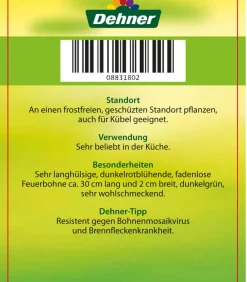 Dehner Gartengemüse > Feuerbohne