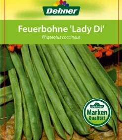 Dehner Gartengemüse > Feuerbohne
