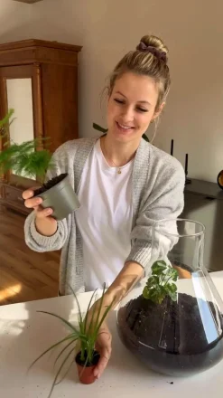 Dehner Flaschengarten DIY-Set Mini-Urwald, 8-teilig Grün Online
