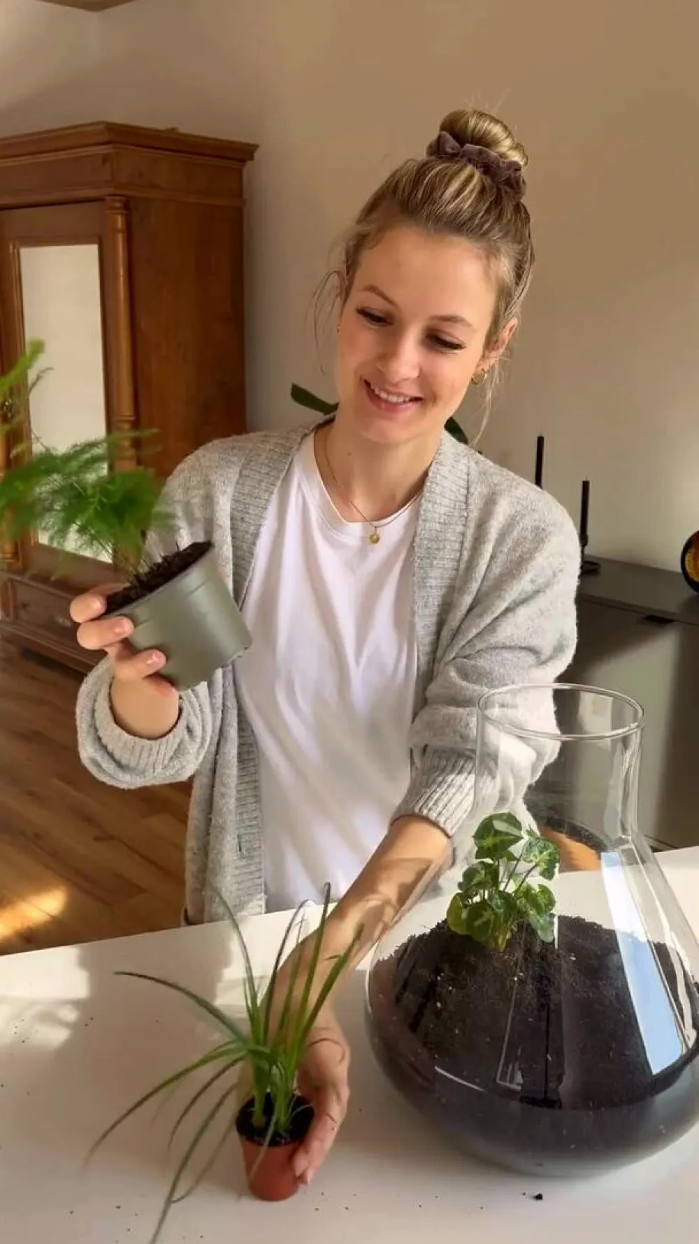 Dehner Flaschengarten DIY-Set Mini-Urwald, 8-teilig Grün Online