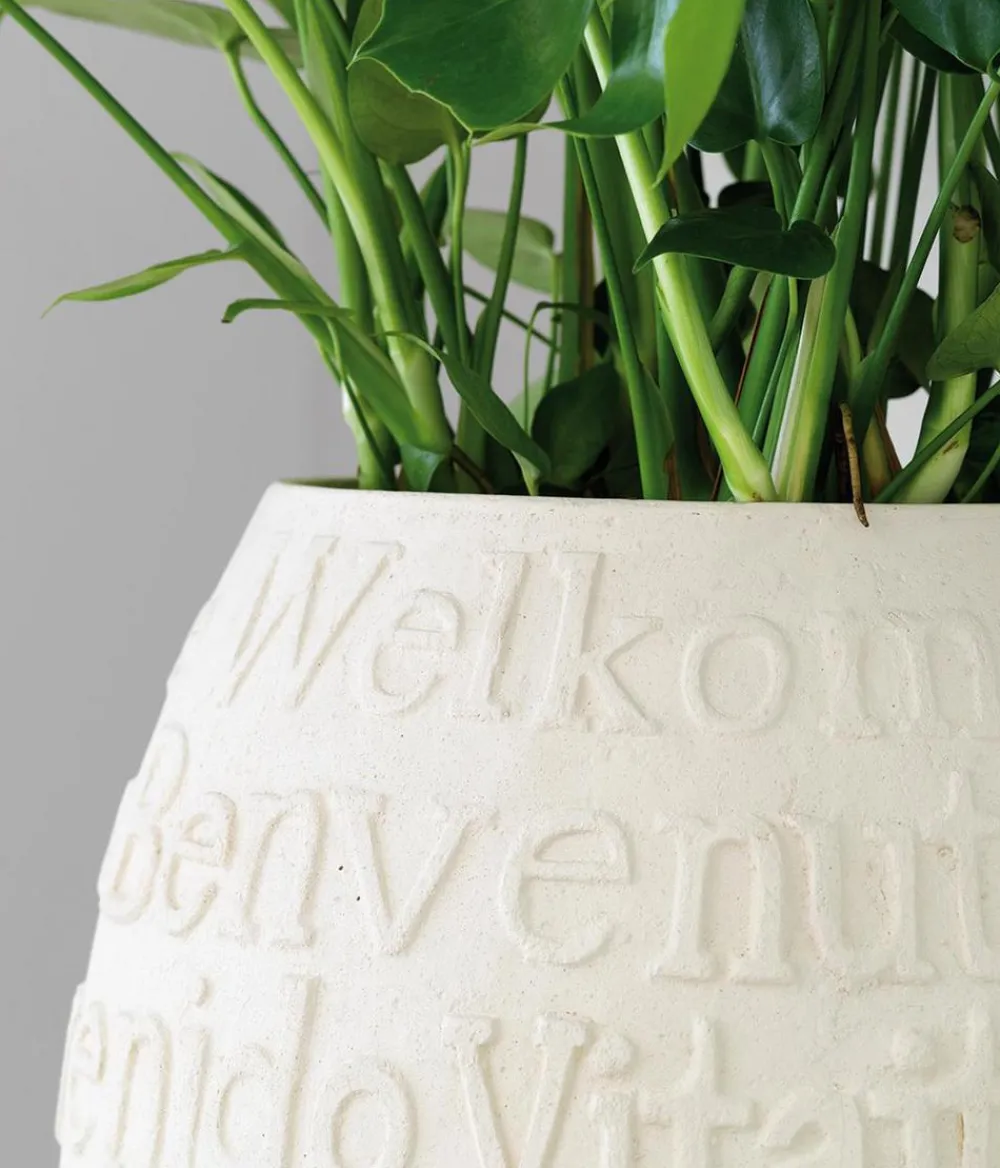 fleur ami Vasen|Blumentöpfe & Übertöpfe > Kunststoff-Vase Welcome, bauchig,