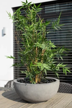 fleur ami Blumentöpfe & Übertöpfe > Polystone-Pflanzschale Ego Plus, rund