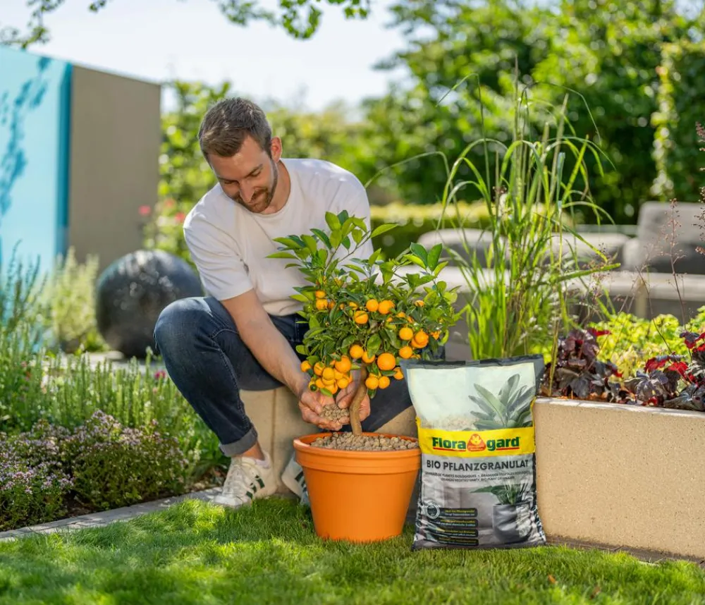 Floragard Spezialerde - Bio Pflanzgranulat