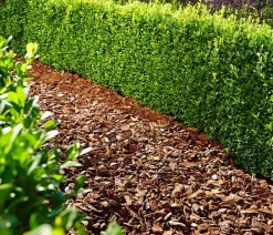 Floragard Rindenmulch - Pinienrinde 25-40 mm, 2 x 60 l