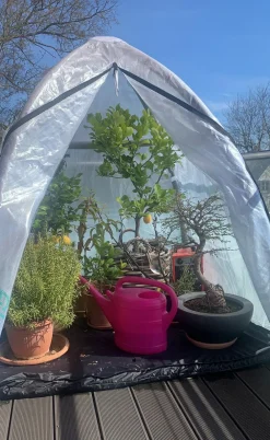 Florino Pflanzenfolien & Ernteschutz|Mehr Blumentopfzubehör > Winterschutz-Zelt