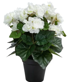 Kunstpflanzen > Flower Manufaktur Kunstpflanze Begonie, ca. H33 cm