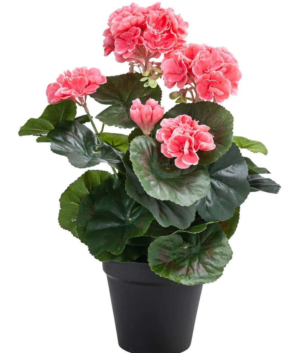 Flower Manufaktur Kunstpflanze Geranie, ca. H33 cm Apricot Clearance